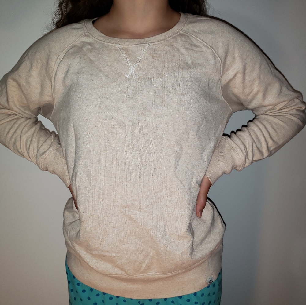 Alpine design sweatshirt